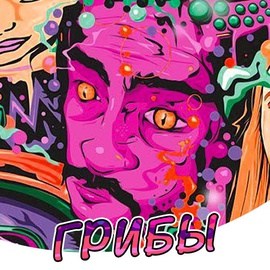 Курить грибы psilocibin